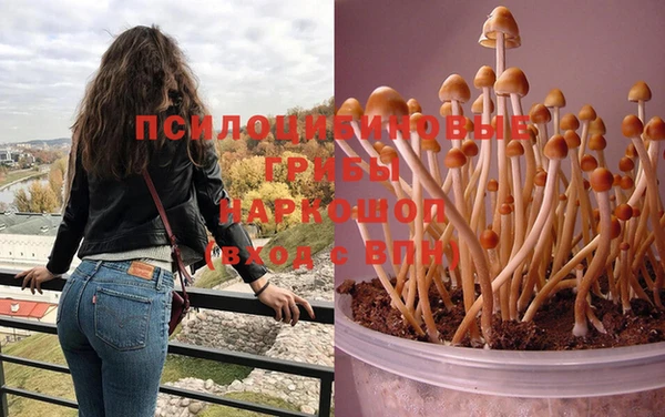 дурь Аркадак